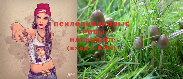 гидропоника Армянск
