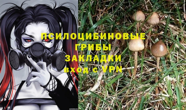 метамфетамин Аркадак